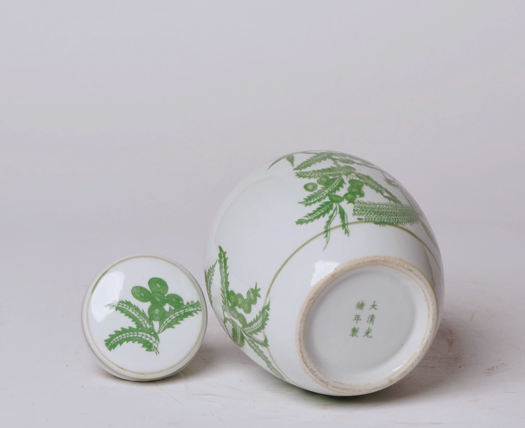 Green and White Porcelain Bird and Flower Round Jar