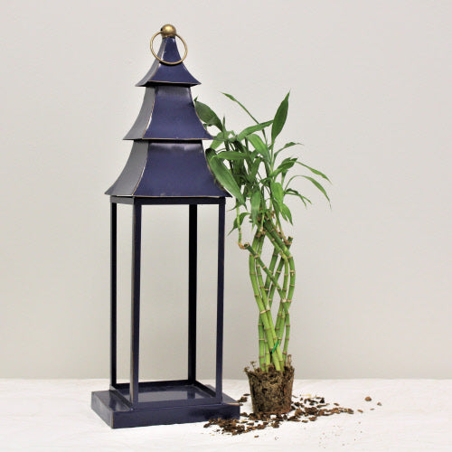 6x8x24" Metal Lantern, Navy